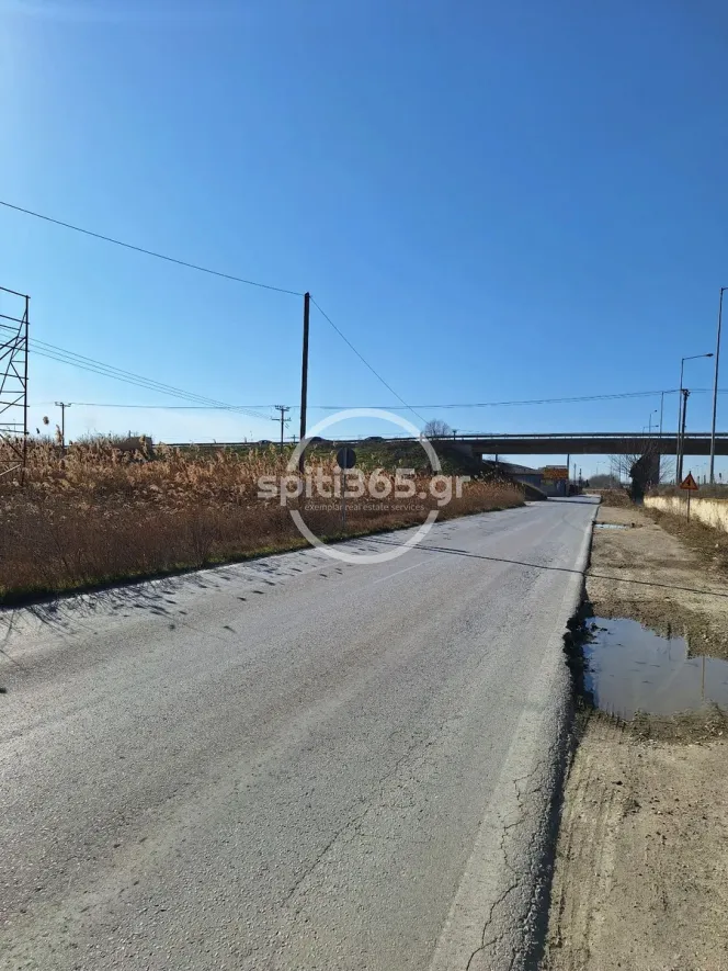 Προνομιακό αγροτεμάχιο άρτιο και οικοδομήσιμο. — φωτογραφία 3