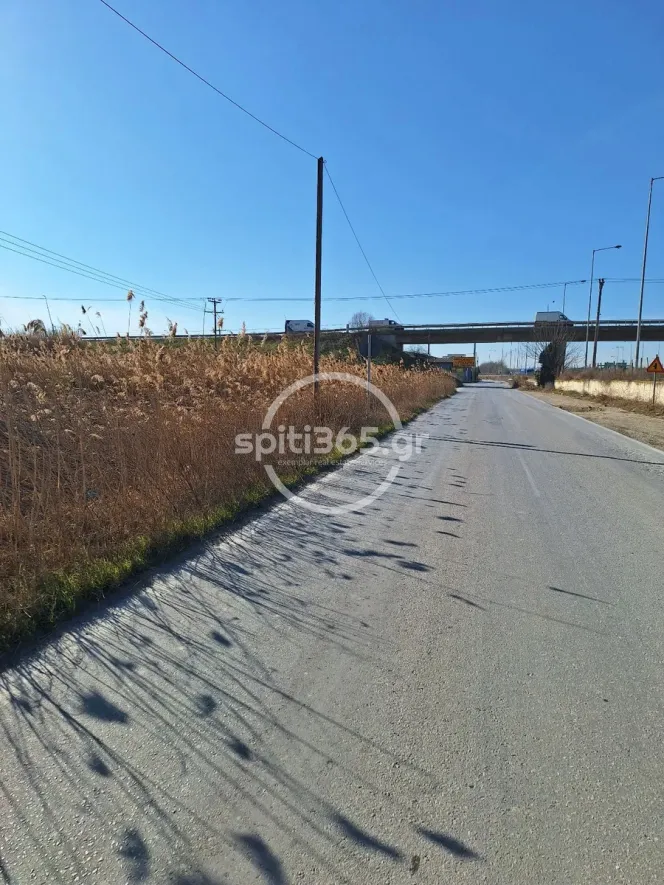 Προνομιακό αγροτεμάχιο άρτιο και οικοδομήσιμο. — φωτογραφία 5