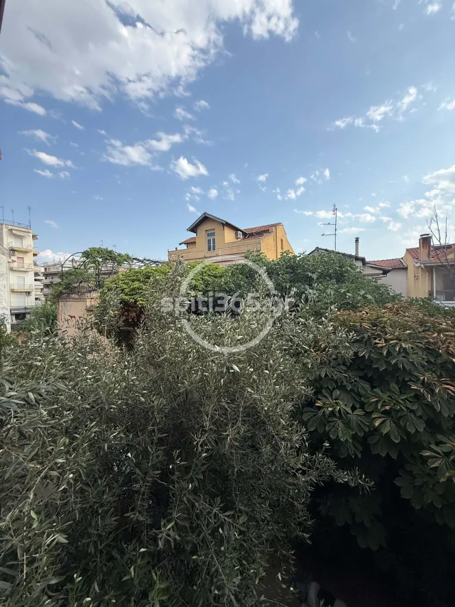 Διαμέρισμα 31 τ.μ. — φωτογραφία 4