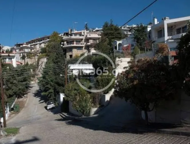 Αγροτεμάχιο 8515 τ.μ. — φωτογραφία 2