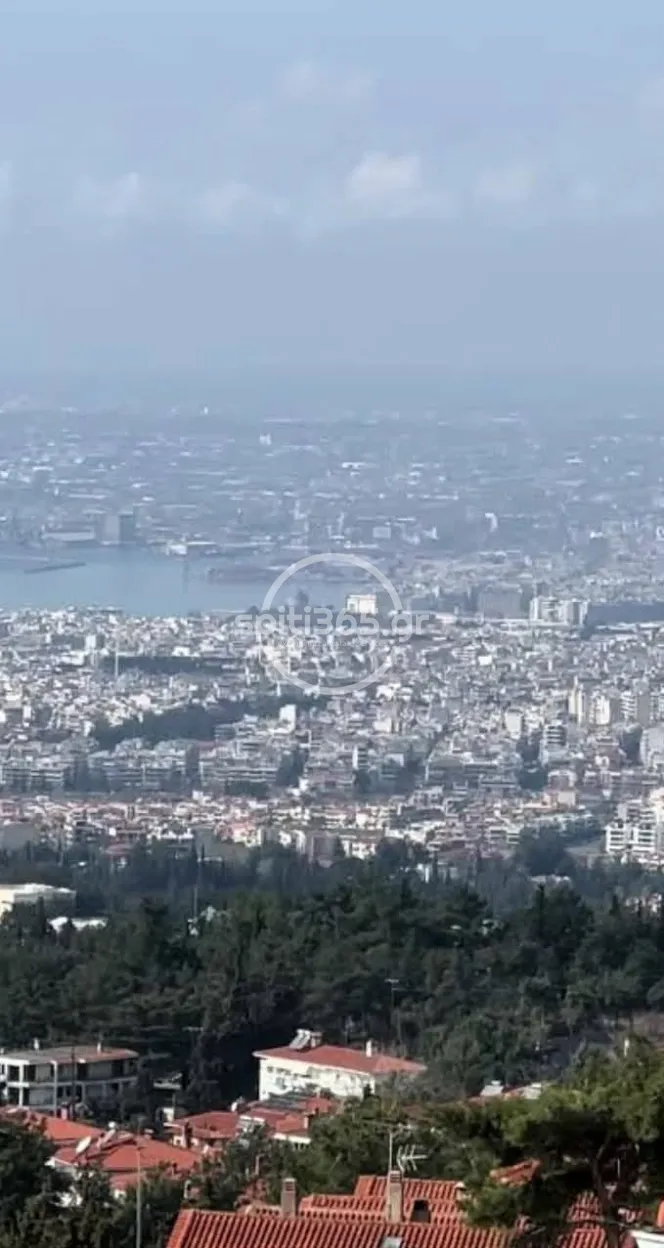 Αγροτεμάχιο 8515 τ.μ. — φωτογραφία 3