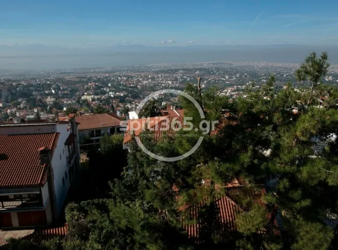 Αγροτεμάχιο 8515 τ.μ. — φωτογραφία 4